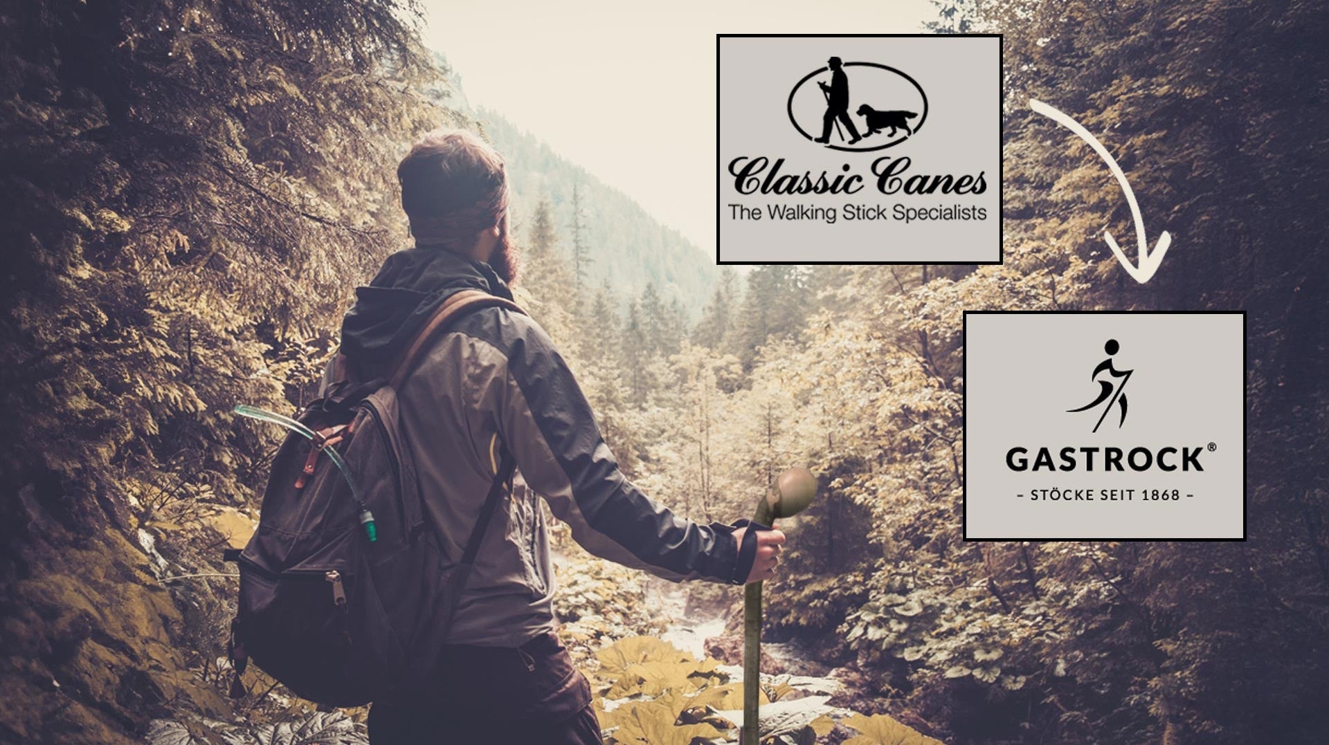 Gastrock Classic Cane Walking Sticks Ireland Stockists