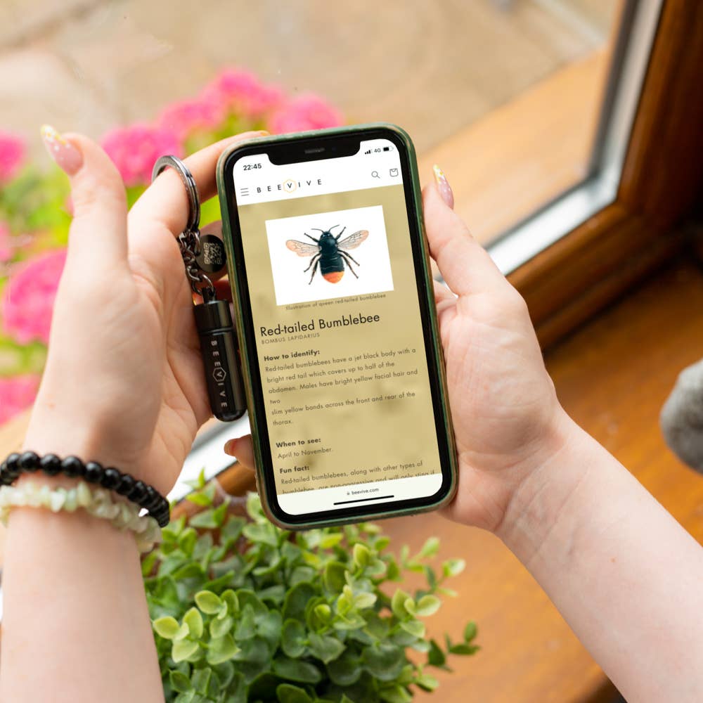 Person holding a smartphone with an app displaying information about a red-tailed bumblebee, with a garden in the background.