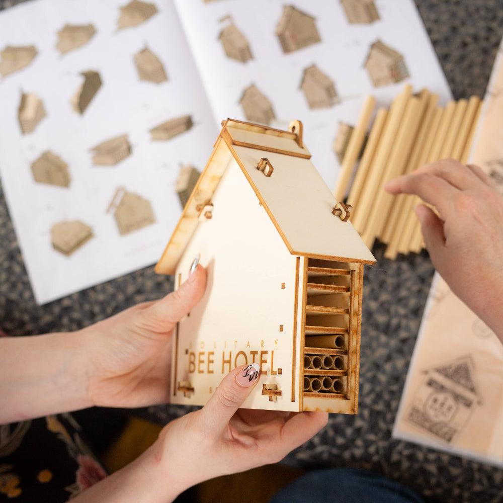 Wooden bee hotel model held by hands with packaging in the background