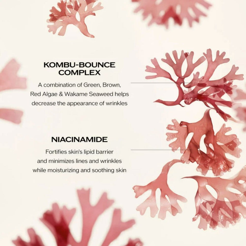 Shiseido Benefiance Wrinkle Smoothing Cream