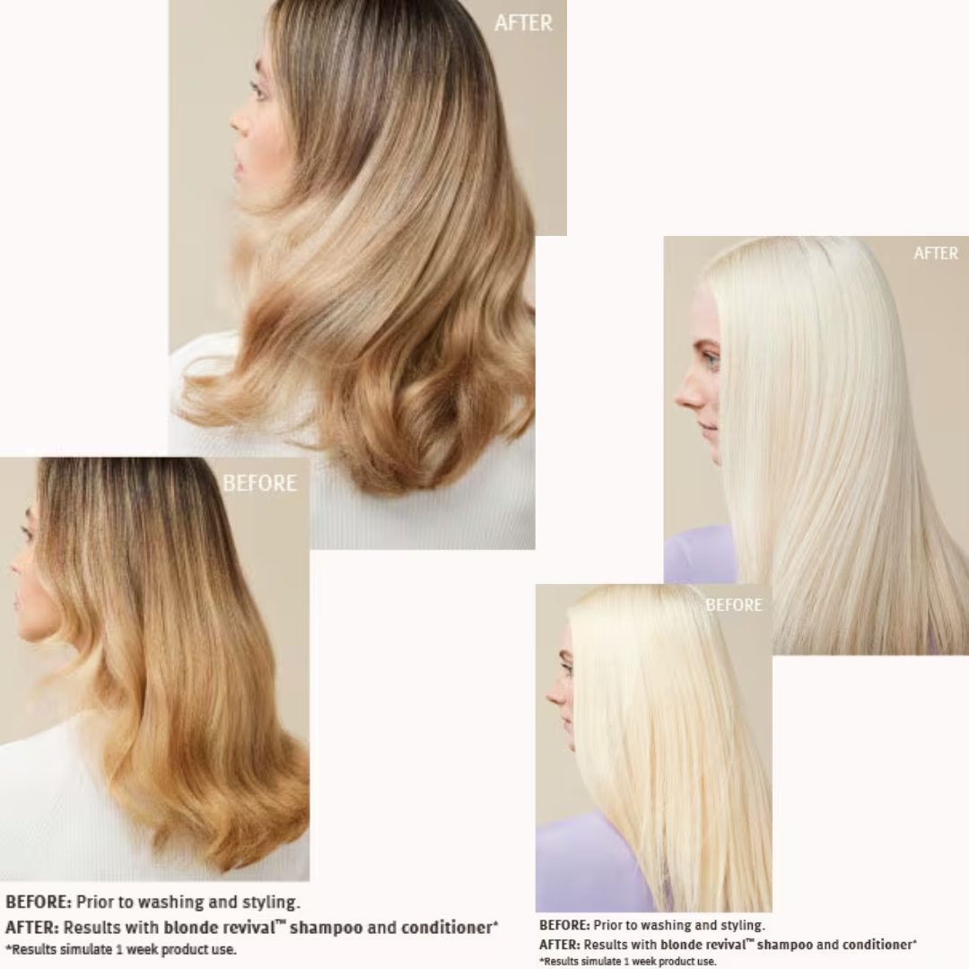 Aveda Blonde Revival Purple Toning Shampoo