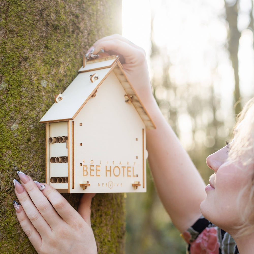 Person holding a wooden bee hotel against a tree