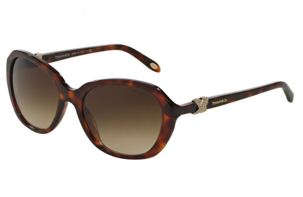 Tiffany tortoiseshell sunglasses with criss cross on arms
