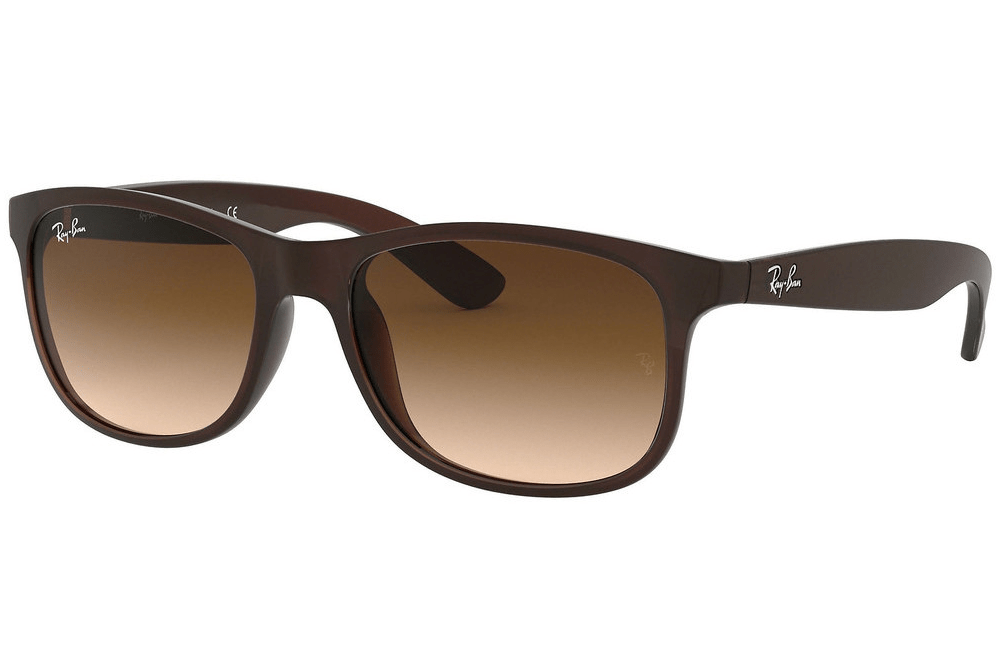 Ray-Ban sunglasses 607313 Brown Ray-Ban Andy Sunglasses RB4202