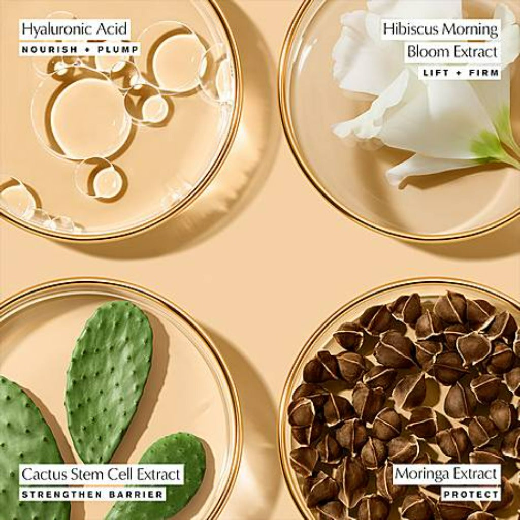 Estee Lauder Revitalizing supreme+ youth power eye balm 15ml ingredients