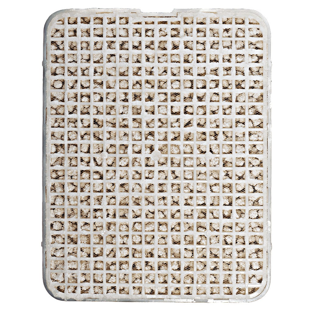 salin plus humidifier room humiddifier salt therapy refill