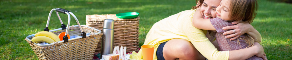 Top picnic spots for families north of Dublin