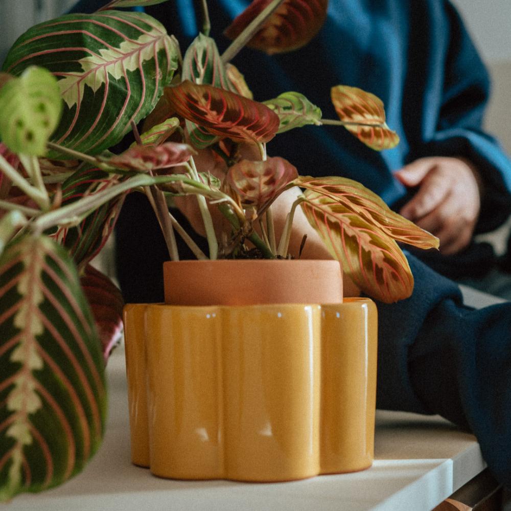 Pepin Plant Pots & Watering Spikes