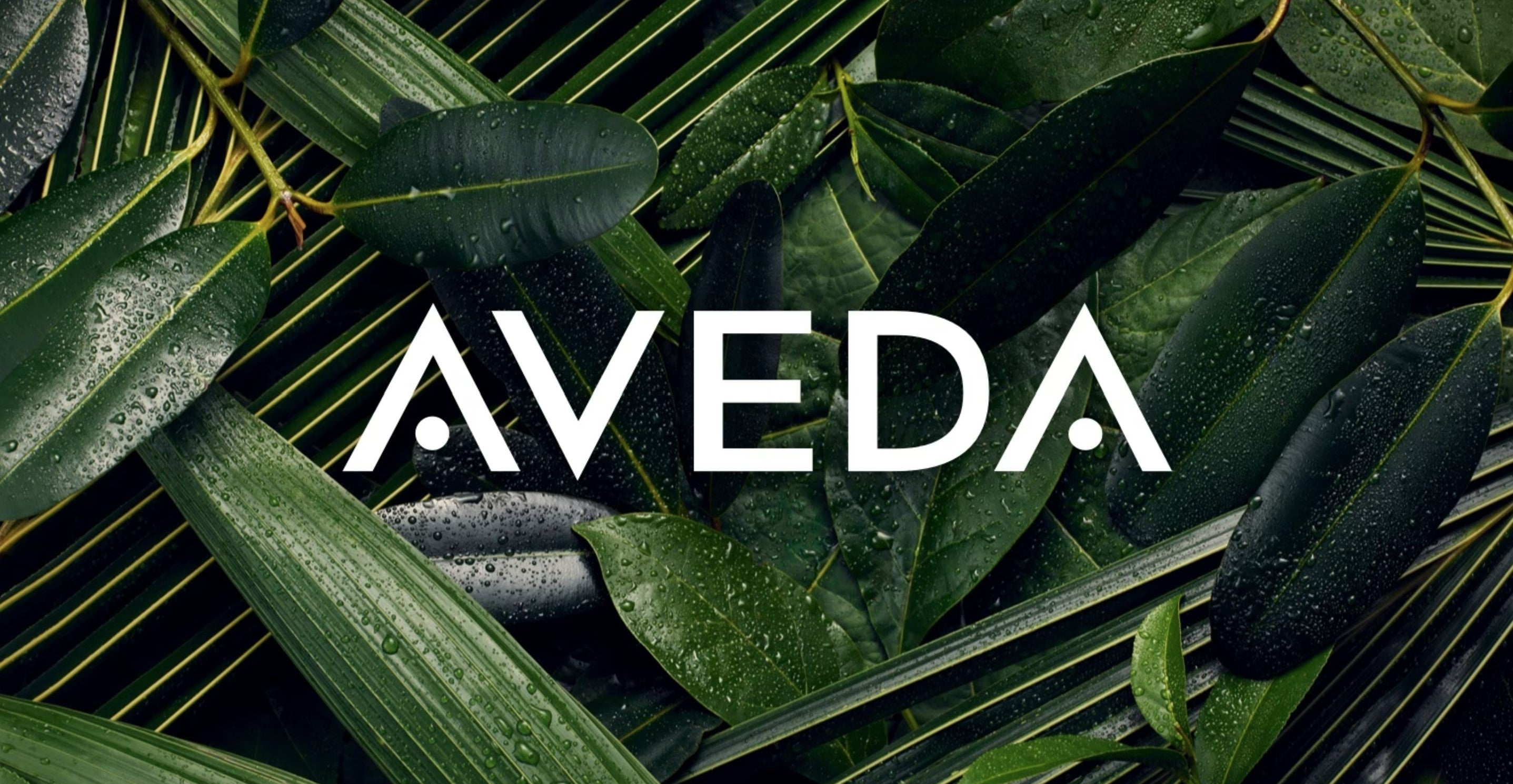 Aveda Hair Care