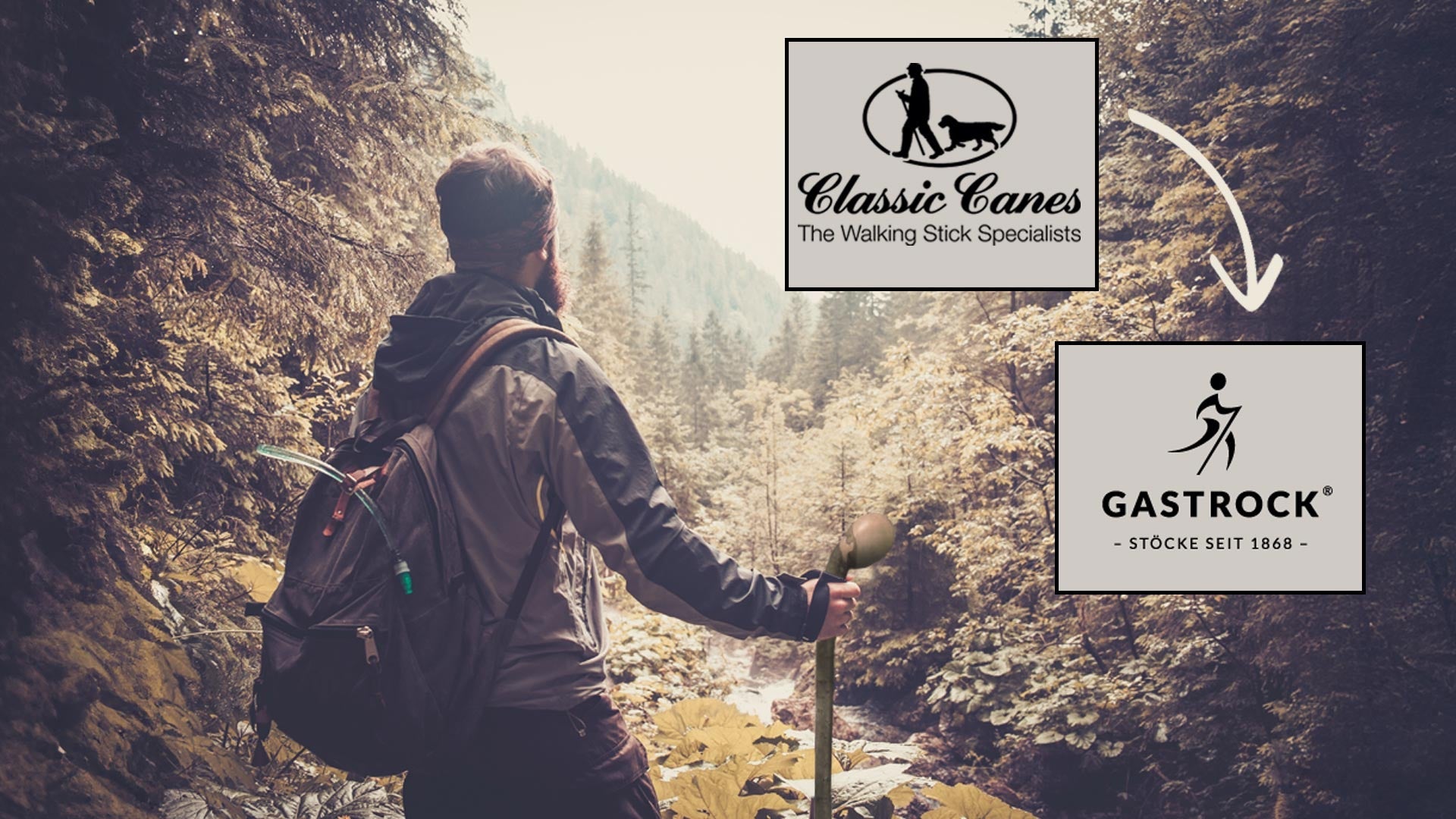 Gastrock Classic Cane Walking Sticks Ireland Stockists