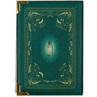 Green book-shaped bag with 'Encyclopedia of Potion Making' design on a white background
