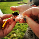 Person holding a bee near a small container outdoors