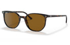 Rayban Elliot Sunglasses