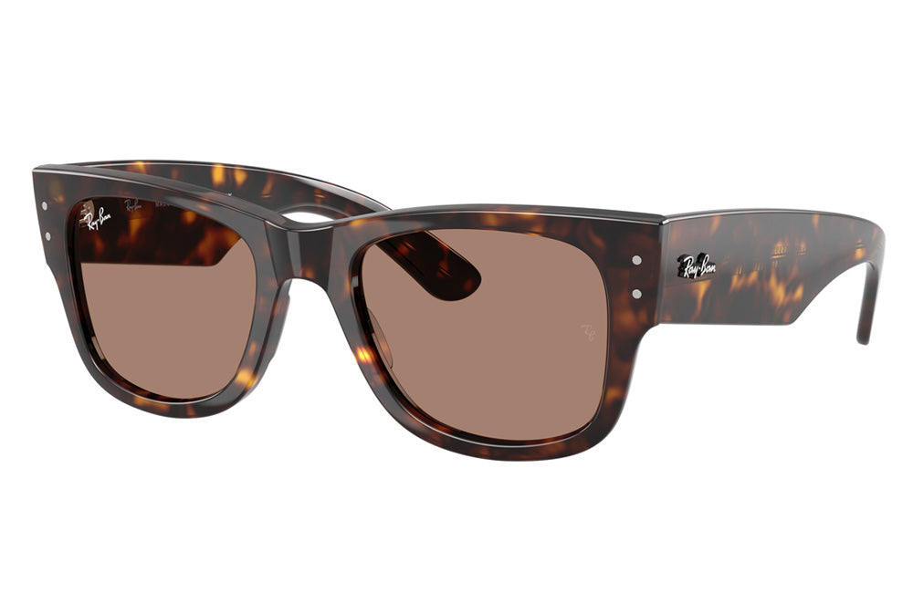 Rayban Large Mega Wayfarer with big arms