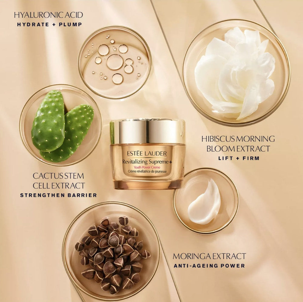 Estée Lauder Nighttime Experts Repair + Lift + Hydrate Gift Set Revitalizing Supreme Moisturiser Benefits
