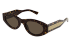 Sunglasses with tortoiseshell frame and beige lens on a white background