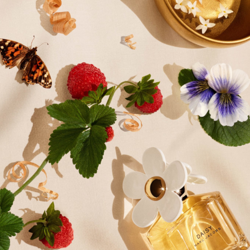 Marc Jacobs Daisy Eau De Toilette Fragrance Town Centre Pharmacy