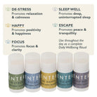 Scentered - Daily Ritual Aromatherapy Collection Gift Set