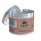 Crop Soy Wax Candles - Seaweed (Sea Salt, Water Lily & Amber) 150g