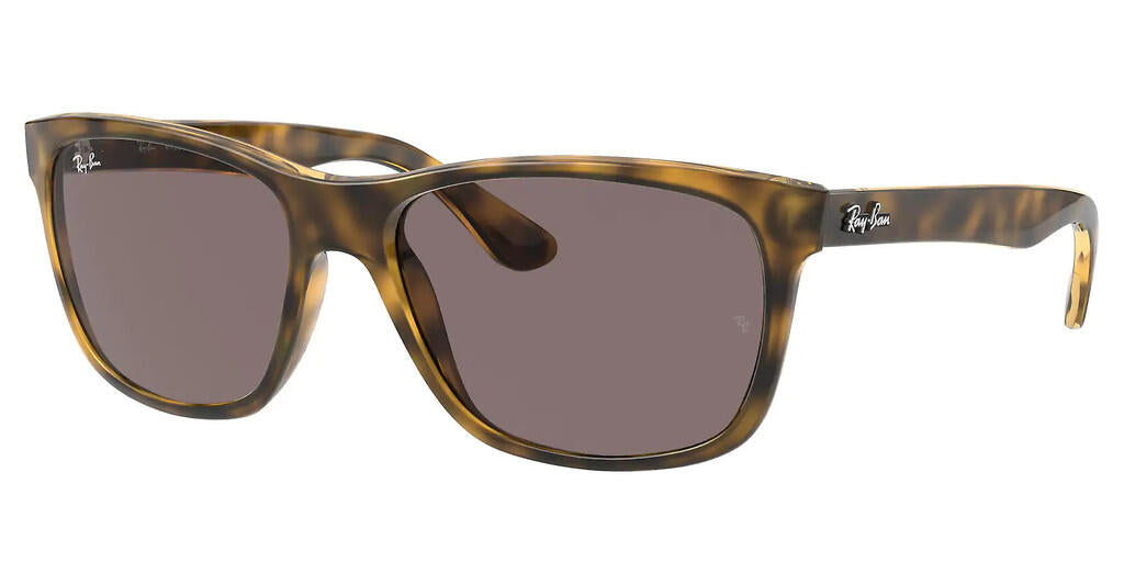 Mens havana Rayban sunglasses