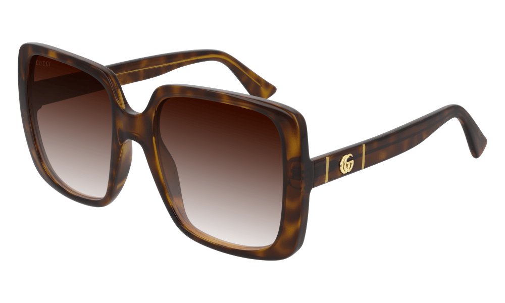 Gucci sunglasses 002 havana brown Gucci GG00632s Big Square Ladies Sunglasses
