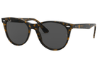 Ray-Ban sunglasses 1292B1 havana Ray-Ban Wayfarer II RB2185 Ladies Sunglasses