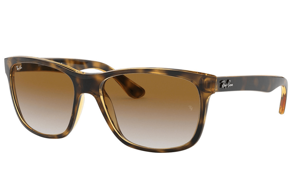 Ray-Ban sunglasses 710/51 tortoishell/brown Ray-Ban RB4181 Sunglasses