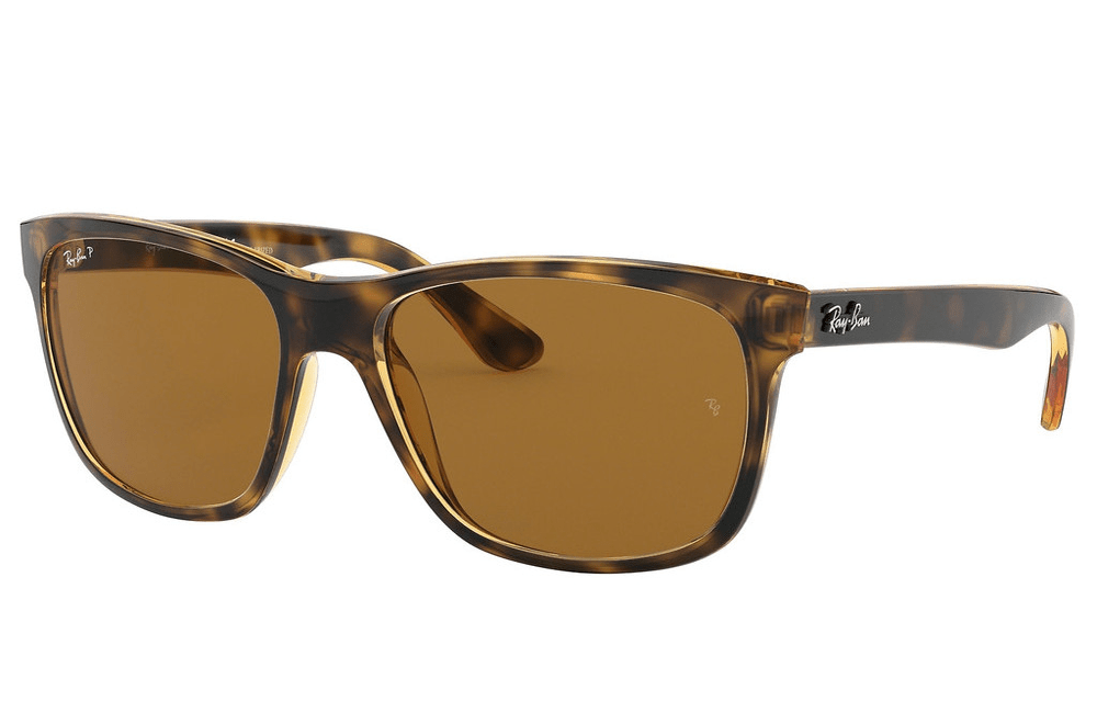 Ray-Ban sunglasses 710/83 tortoishell/brown polarized Ray-Ban RB4181 Sunglasses