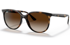 Rayban unisex rounded brown sunglasses