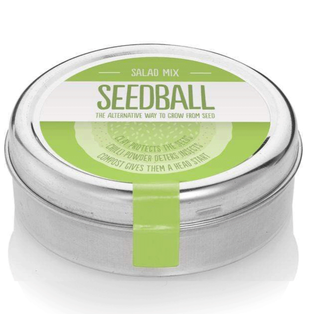 SEEDBALL christmas gift ideas Seedball - Salad Mix